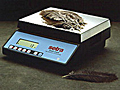 Setra Quick Counting Scales