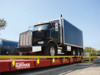 Survivor OTR Truck Scales - Steel Deck - 10 Foot Width